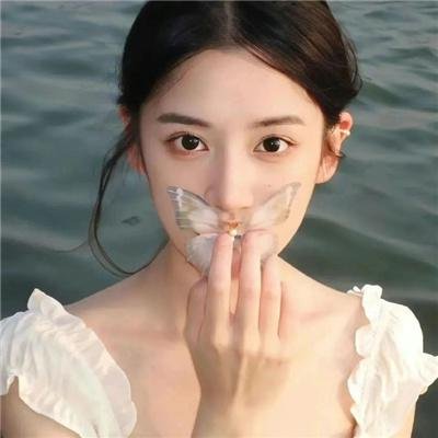 爱情领域2